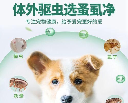 狗狗肺炎治疗全攻略（以药食同源的方式帮助宠物恢复健康）