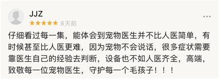 孜孜不倦,不负生命重托——他们就是了不起的宠物医生