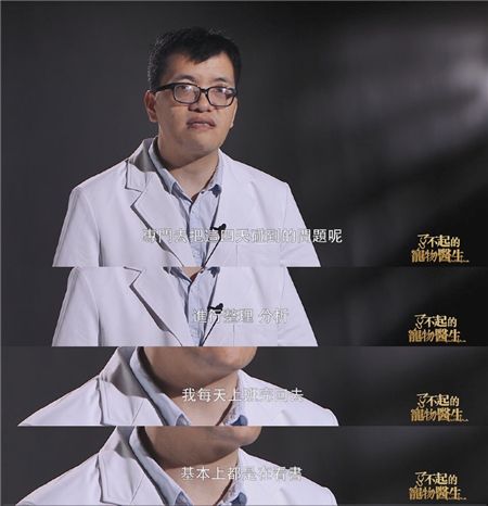 孜孜不倦,不负生命重托——他们就是了不起的宠物医生