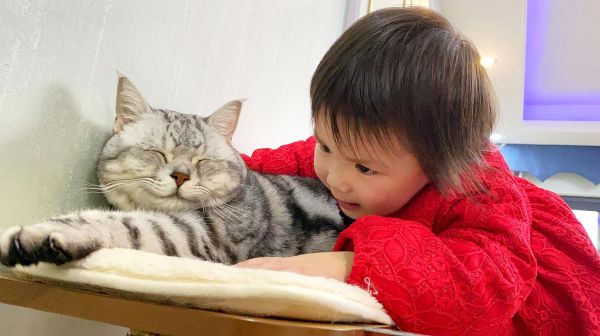 广东小孩给猫咪拜年的独特方式！猫：竟然不是小鱼干！