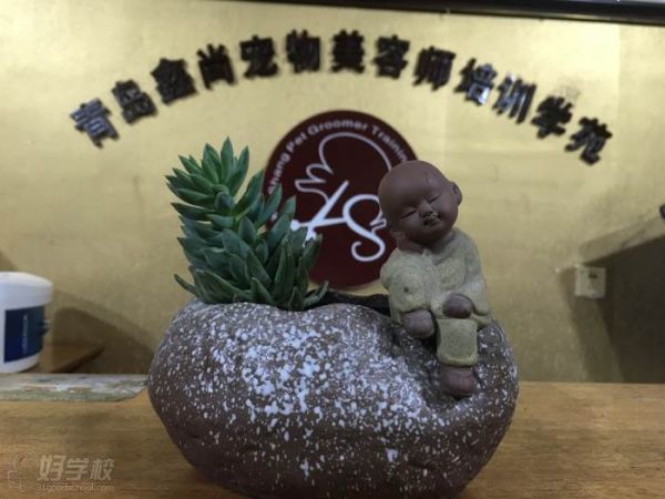 学校环境