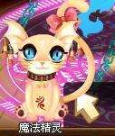 魔法卡片中如何养精灵