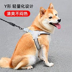 迪普尔狗绳狗链宠物绳子狗狗牵引绳牵狗背带式项圈遛狗绳