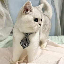 宠物英伦风格子领结领带可调节猫咪小型犬泰迪博美项圈配饰