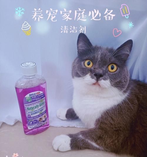 猫咪喜欢的香水气味（以猫为中心的香水选择指南）