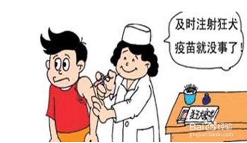 被宠物抓伤或咬了怎么办？