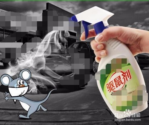 如何驱赶老鼠？老鼠怕什么？