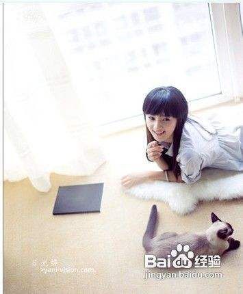 小结出的四个方法让猫咪不破坏家具