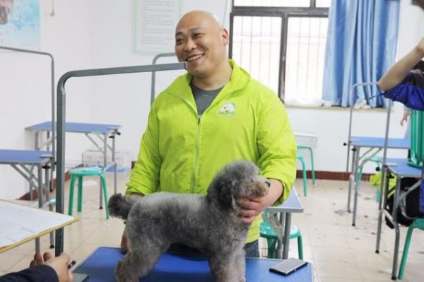 圣宠宠物美容师培训学校告诉你宠物护理与美容专业的就业前景好吗