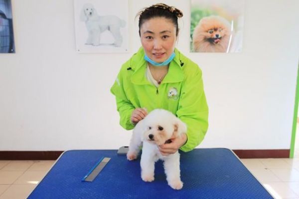 圣宠宠物美容师培训学校告诉你宠物护理与美容专业的就业前景好吗