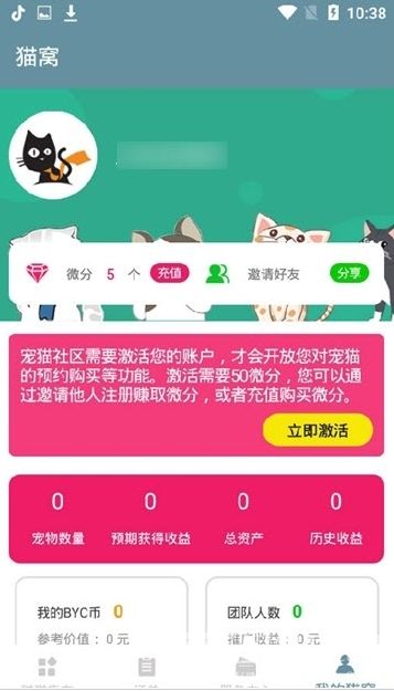 宠物集市