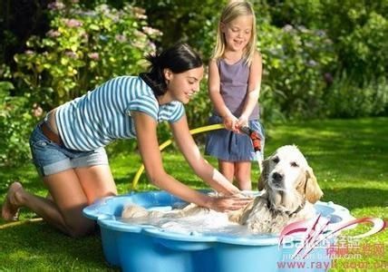 学会如何照料自己的宠物。