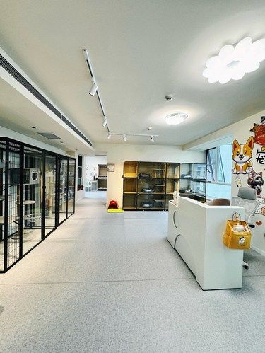 在大望路发现一家宝藏宠物店