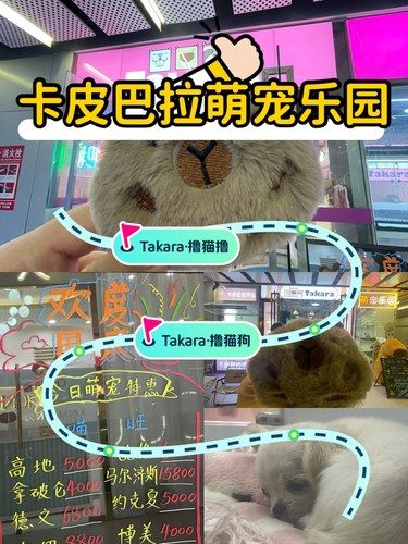 北京国庆｜萌宠乐园免费领啦‼️‼️