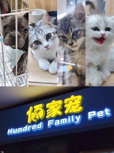 超大超齐全的宠物基地！可以逛很久！