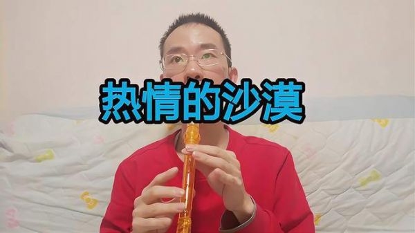竖笛演奏《热情的沙漠》,老歌旋律