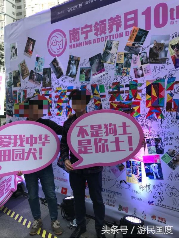 第十届南宁领养日现场｜选择领养，选择买不到的爱