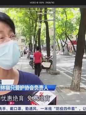 熙熙森林猫咪爱护协会:熙熙森林负责人在南方卫视上接受采访,宣传理性救助,科学救助@广东台触电新闻 #猫咪 #关爱流浪猫 #善待动物关爱生命 #流浪猫救助
