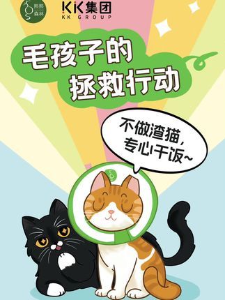 熙熙森林猫咪爱护协会:东莞毛孩子的拯救行动!9.28京东MALL薛之谦Live专场,感谢KK公益、京东MALL场地支持,感谢东莞热情的粉丝们支持! #熙熙森林 #流浪猫 #领养代替购买 #流浪猫救助 #这个世界不能没有小猫