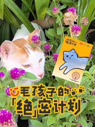 熙熙森林猫咪爱护协会:它基金x名创优品x熙熙森林 毛孩子的绝密计划进行中 第一阶段已完成绝育放归48只啦#领养代替购买 #关注流浪动物 #流浪猫绝育放归 #dou爱公益日 #dou爱送温暖