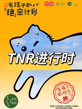 熙熙森林猫咪爱护协会:毛孩子饿“绝”密计划进行中~#dou 爱公益日 #熙熙森林 #它基金 #名创优品 #TNR