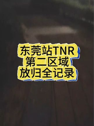 熙熙森林猫咪爱护协会:东莞开展TNR的第二区域记录:9只陆续全放归了。TNR是一个长期的工作哦,有想参加作为义工的同学也可以私信厚台嘟!#流浪猫救助 #领养代替购买 #流浪猫绝育放归 #关爱流浪动物善待生命 #熙熙森林