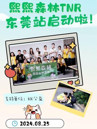 熙熙森林猫咪爱护协会:熙熙森林xKK公益东莞第一站汇报视频,感谢更多爱心力量参与流浪猫TNR计划#流浪猫救助 #流浪猫绝育 #熙熙森林 #这个世界不能没有小猫 #流浪动物