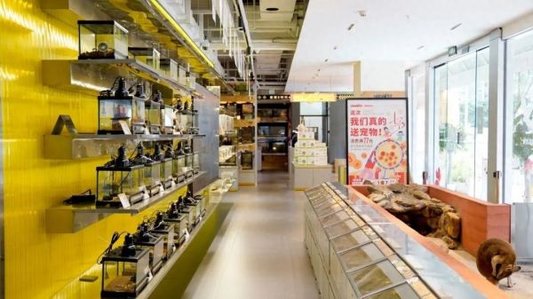Hi 主理人 | 呆呆农夫：一家特色鲜明的全品类宠物集合店