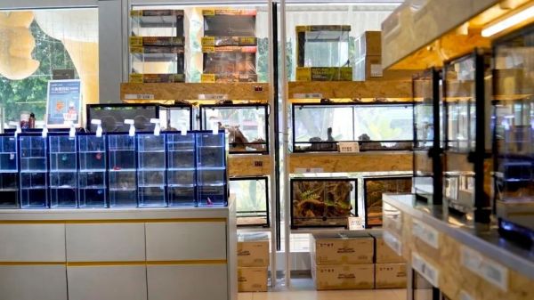 Hi 主理人 | 呆呆农夫：一家特色鲜明的全品类宠物集合店