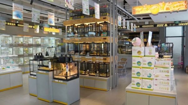 Hi 主理人 | 呆呆农夫：一家特色鲜明的全品类宠物集合店