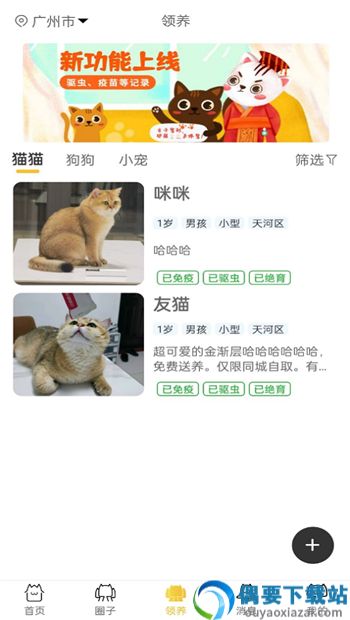 种猫家宠物服务
