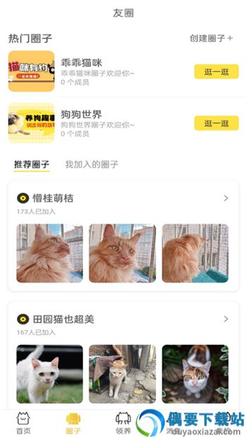 种猫家宠物服务