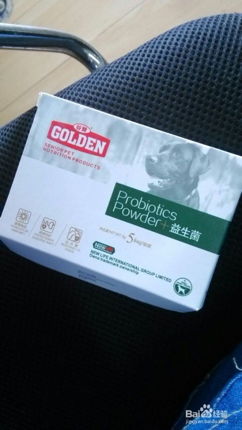 狗狗厌食怎么办？狗狗没食欲怎么办