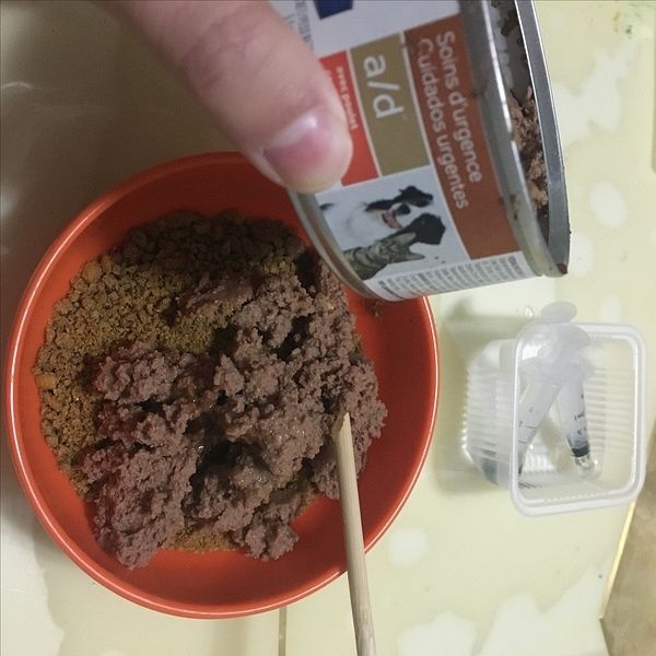 自制猫粮