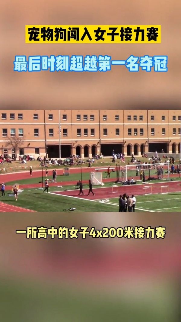 美国一只宠物狗闯入高中接力赛场……