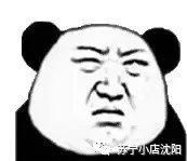 暖心！八小时的爱心接力，苏宁小店助萌宠回家！