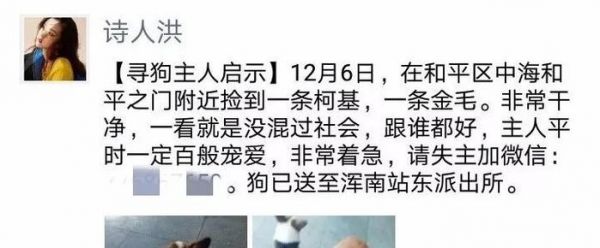 暖心！八小时的爱心接力，苏宁小店助萌宠回家！