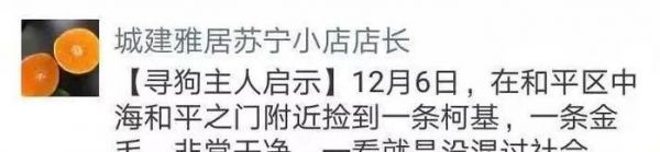 暖心！八小时的爱心接力，苏宁小店助萌宠回家！