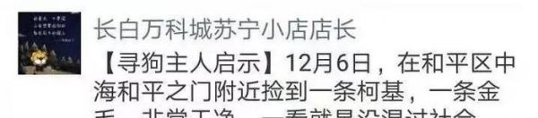 暖心！八小时的爱心接力，苏宁小店助萌宠回家！