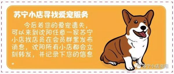 暖心！八小时的爱心接力，苏宁小店助萌宠回家！