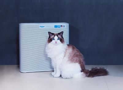 img1