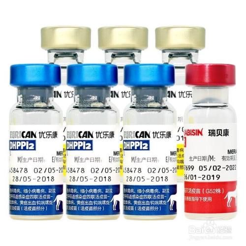 狗狗可以去哪儿接种疫苗？