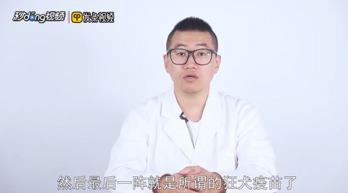 狗狗的疫苗怎么打