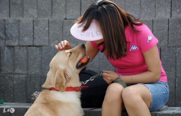 家养狗狗驯养，10个让狗狗听话的小技巧