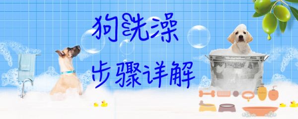 狗洗澡步骤详解