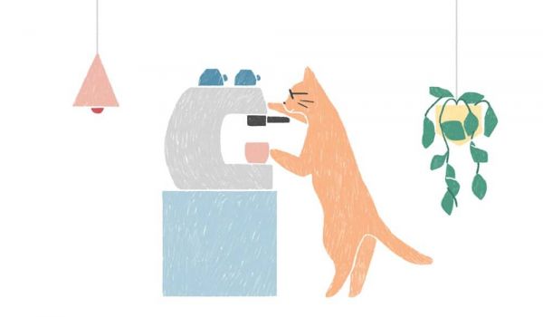 Cat cafes originated in taiwan in the 90s but achieved global fame in japan photo carla mcrae