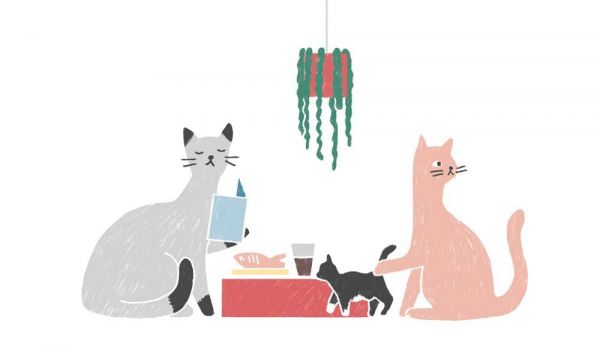 Cat cafes are on the prowl across australia photo carla mcrae