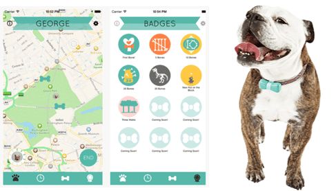 woofwonder-bowtie-social-do.png