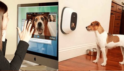 petchatz-connected-pet-prod.png
