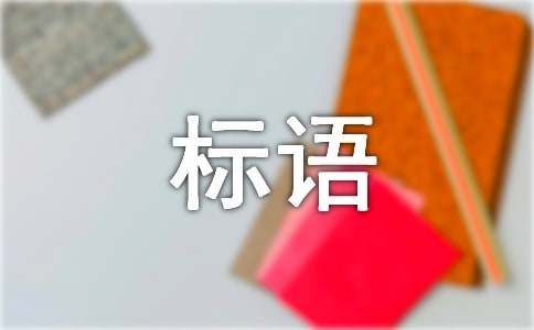 宠物店创意标语160句
